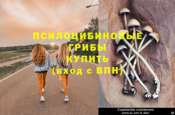 кристаллы Алексеевка