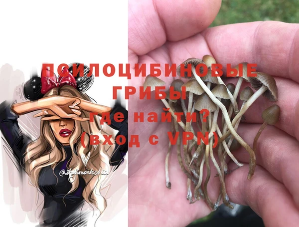 дживик Алзамай