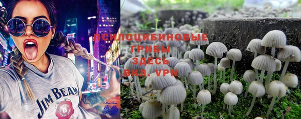 PSILOCYBIN Алексин
