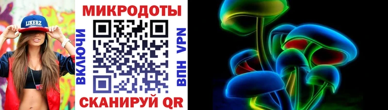 Галлюциногенные грибы Psilocybe  Завитинск 